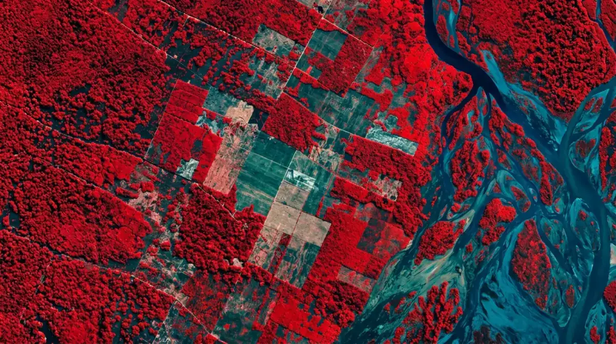 False-colour multispectral satellite composite showing vegetation and river channels
