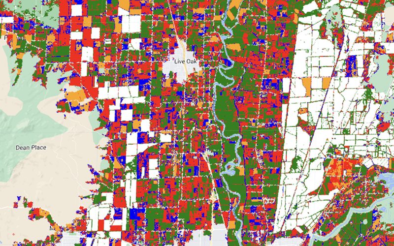 Rice fields classified from Sentinel-2 imagery in the Sacramento Valley